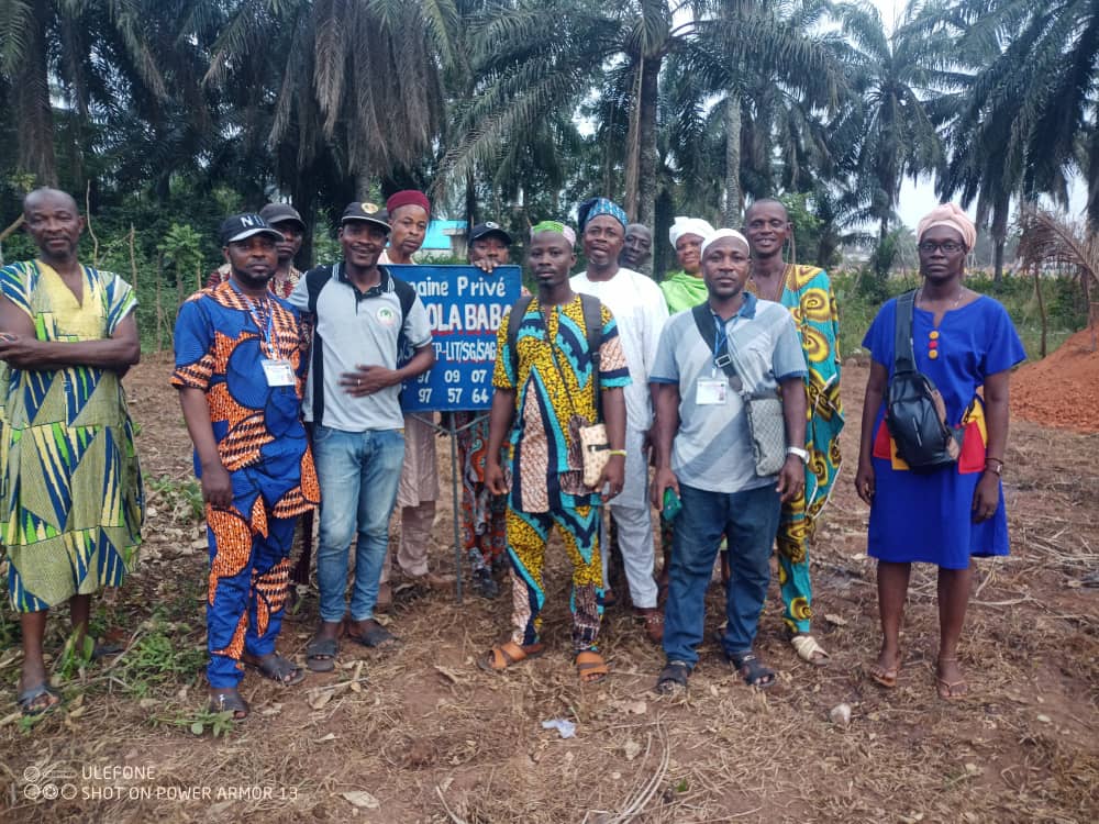 Terrain payé par ONG OLA BABA pour les plantes